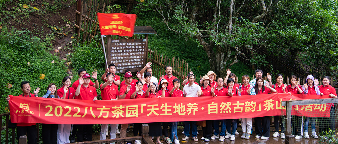 [天生地养，自然古韵]云南茶山行